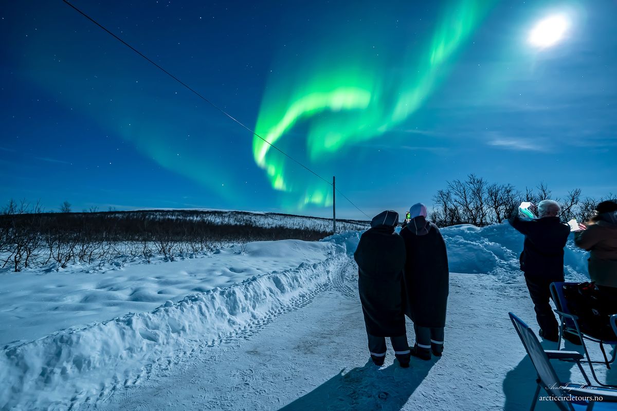 Nordlys over Dåfjord